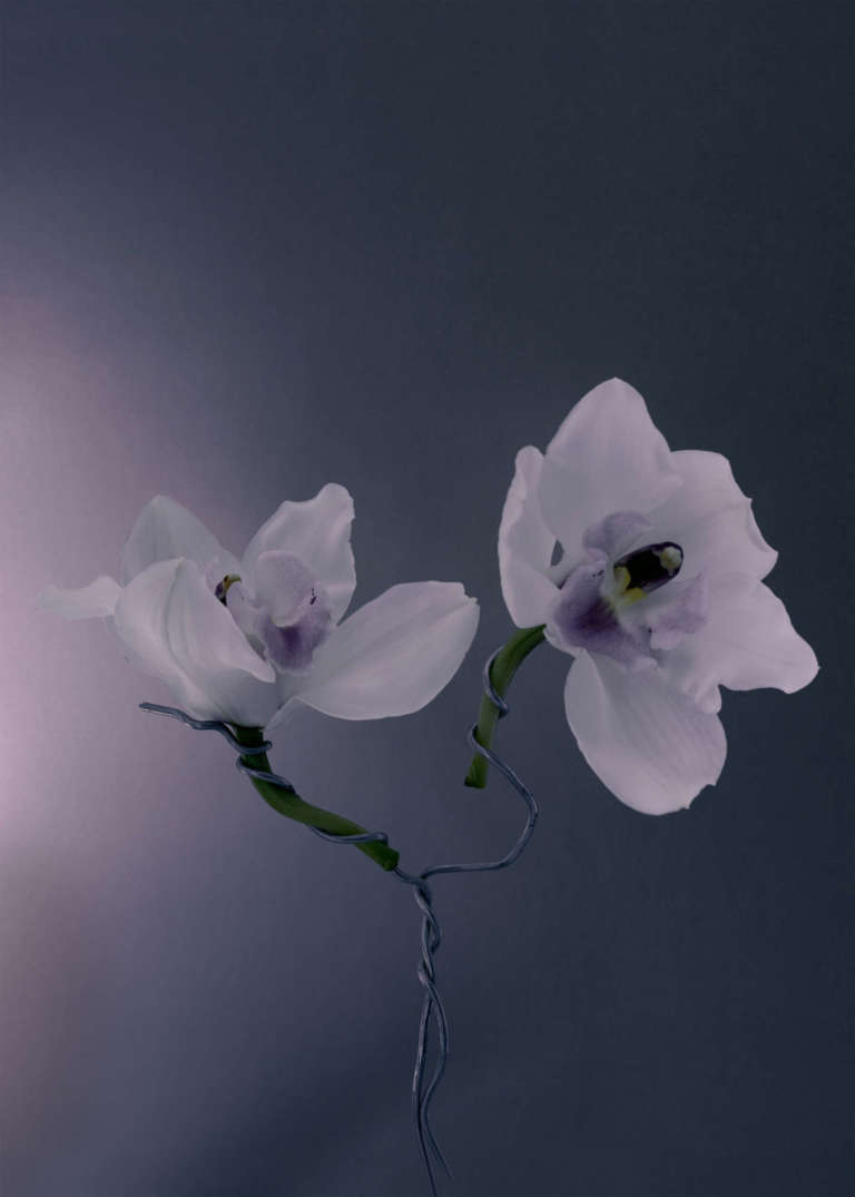 Elodie-Farge-•-Flower-Perfume-•-01