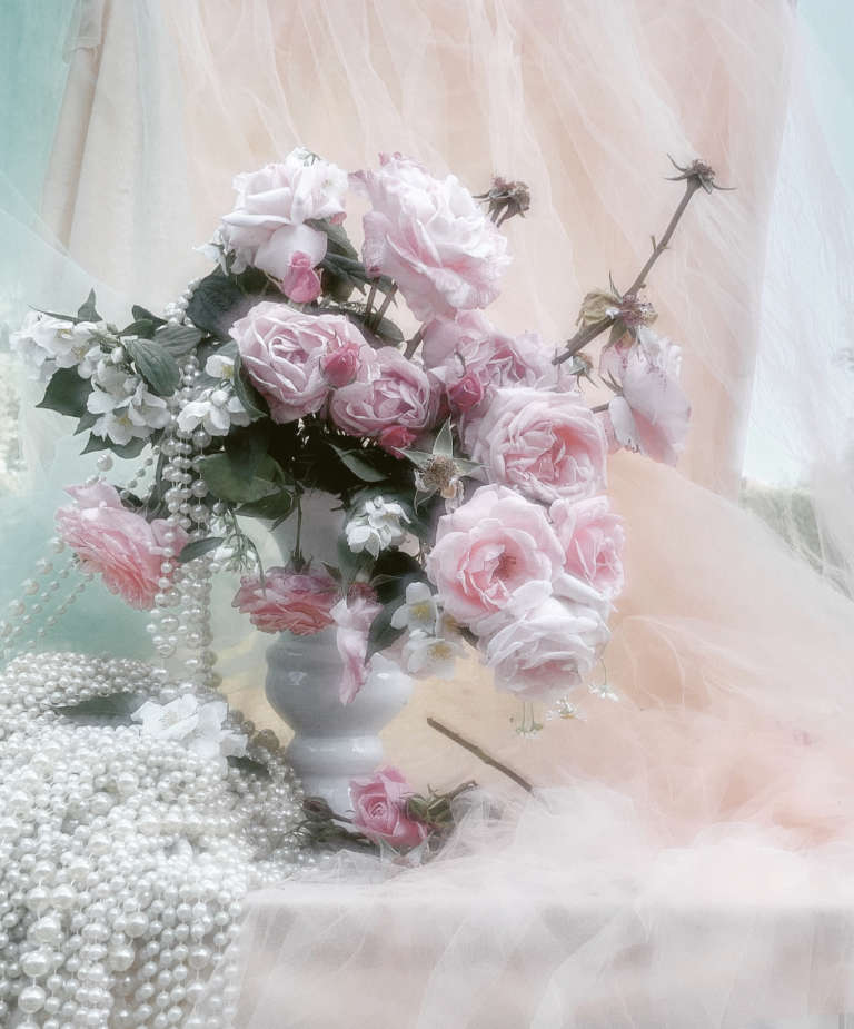 Bara Prochazkova • Roses For My Grandmother • 02